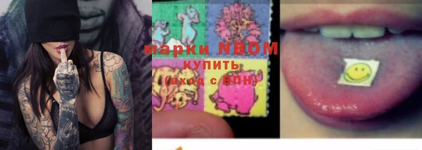 мдпв Горно-Алтайск